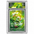 Chenipan 172/165 - SV2A - Collect Aura 9,5