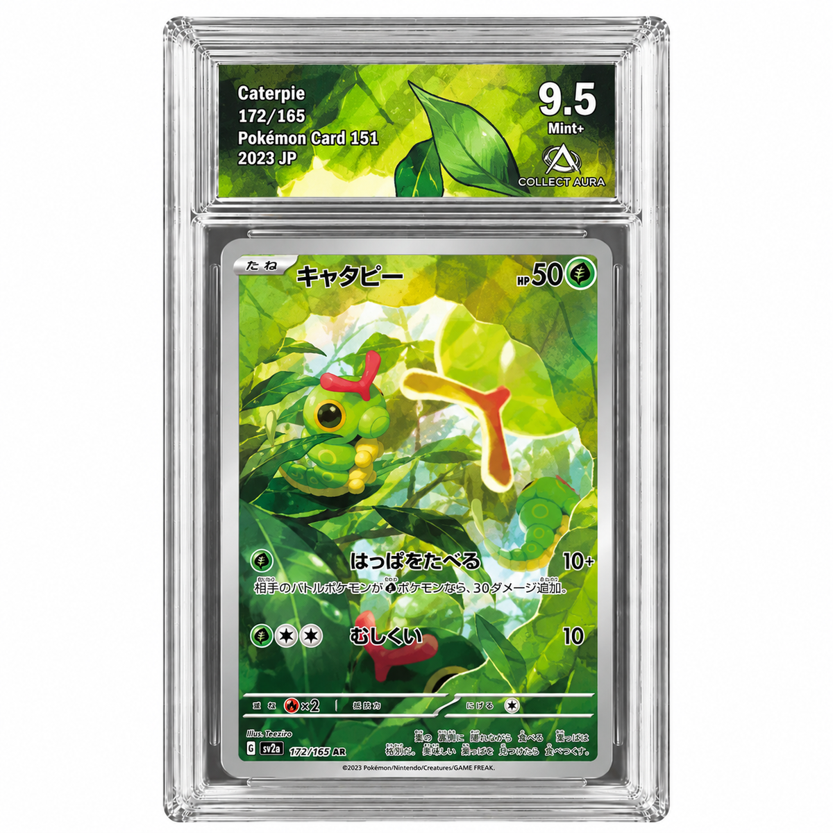 Chenipan 172/165 - SV2A - Collect Aura 9,5