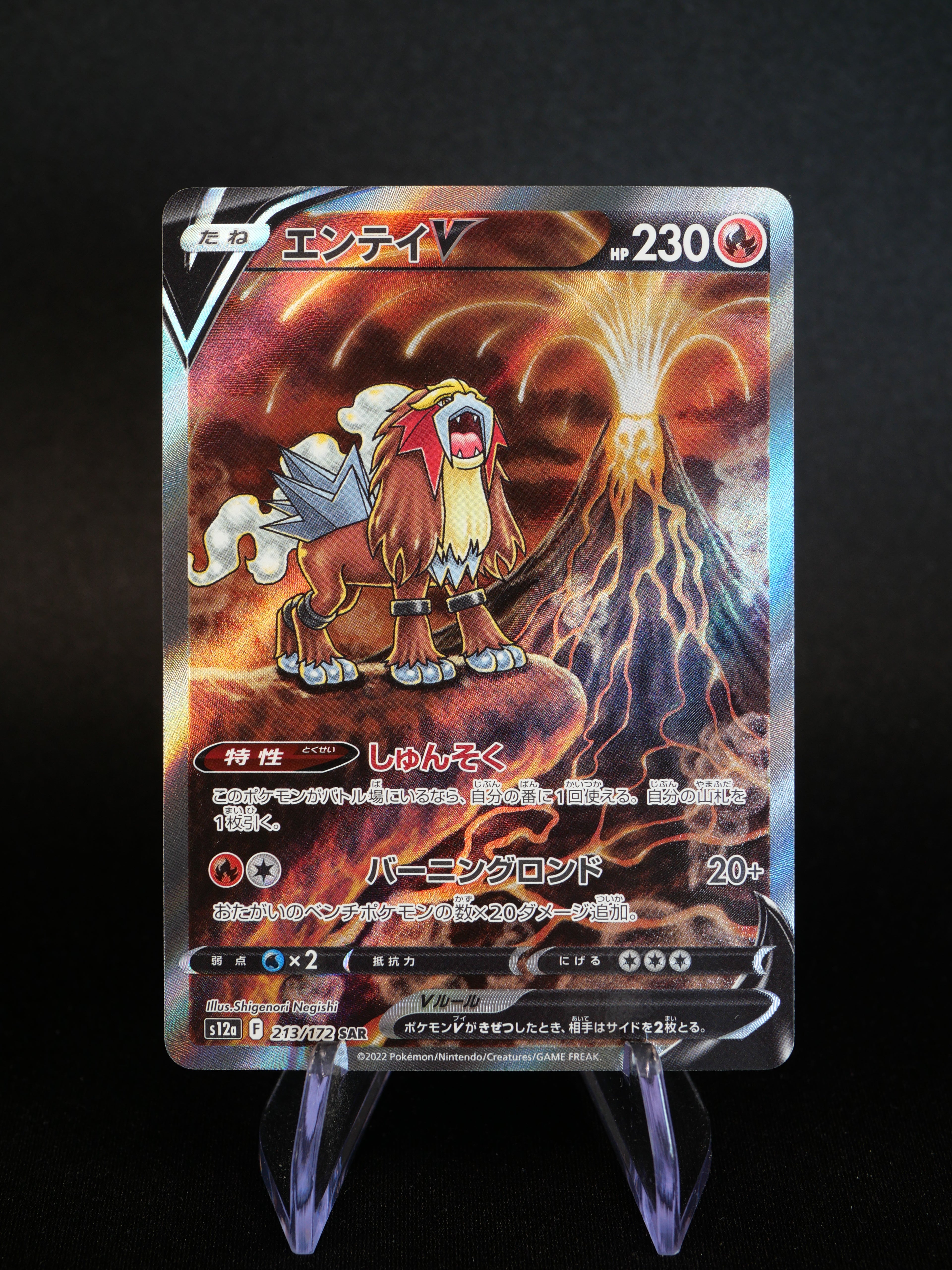 Entei V 213/172 - S12A VStar Universe